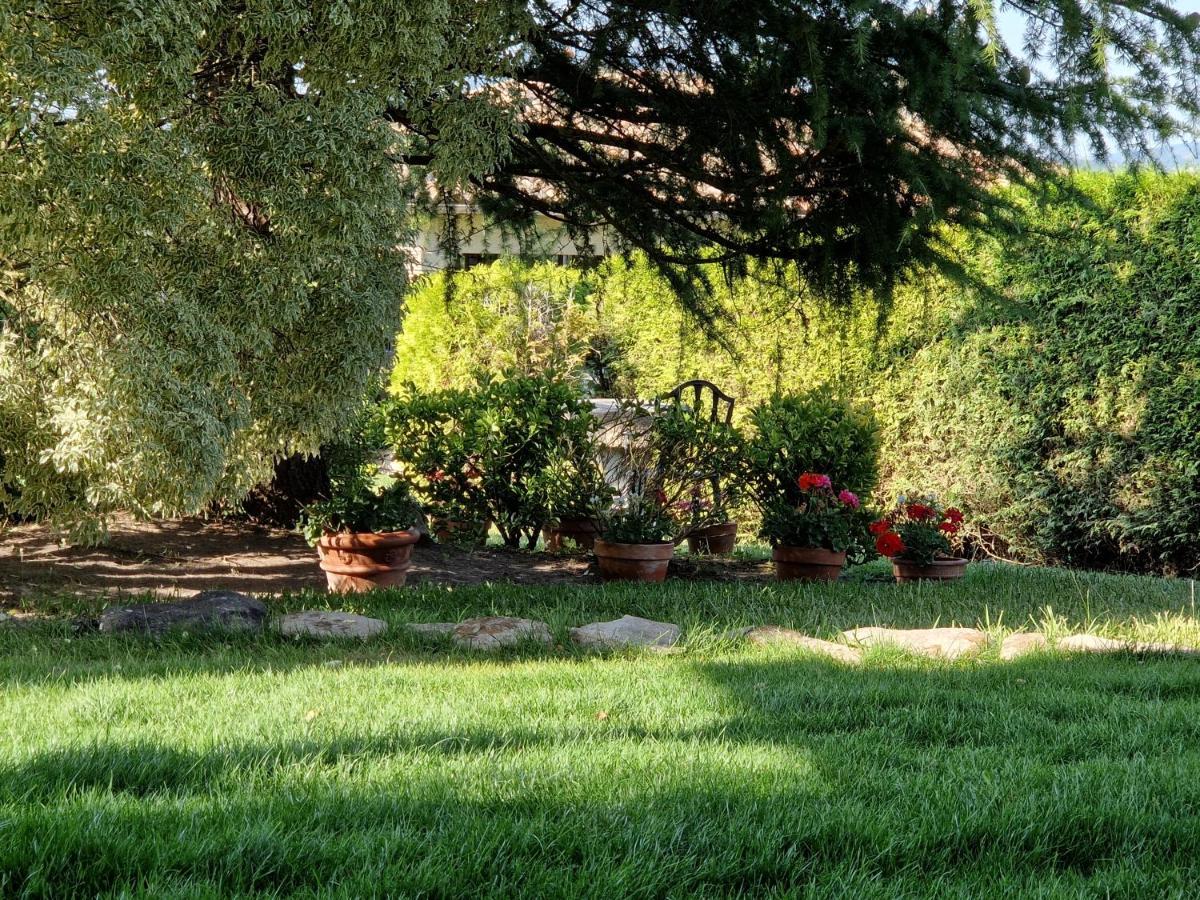 Villa Campo Das Medas , En Medio De La Naturaleza Con Piscina Privada De Sal Gondomar Kültér fotó