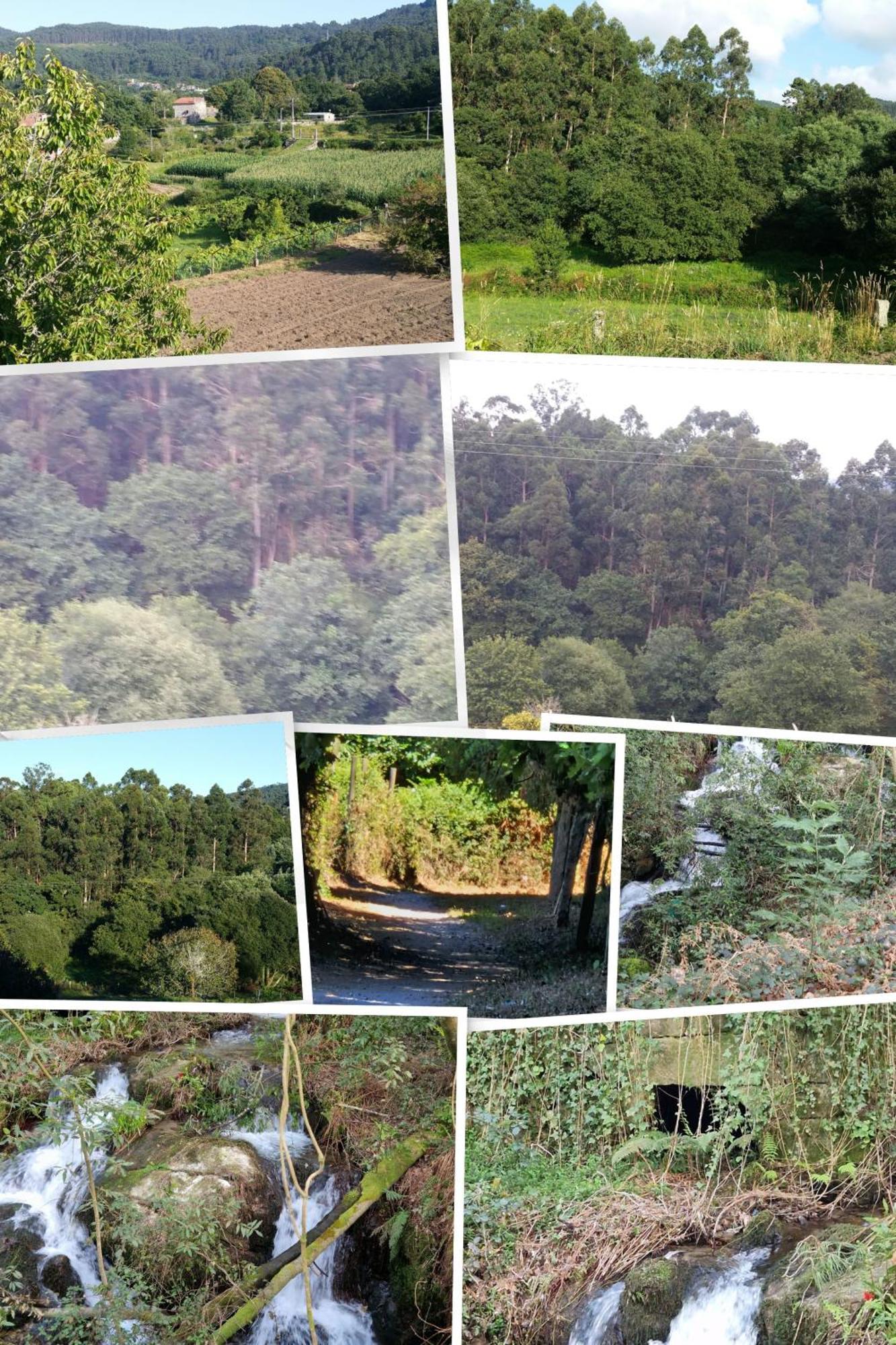 Villa Campo Das Medas , En Medio De La Naturaleza Con Piscina Privada De Sal Gondomar Kültér fotó
